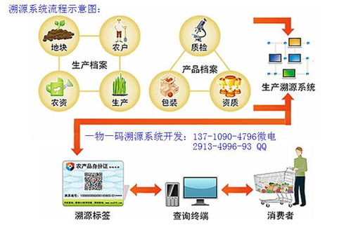 構(gòu)建有機(jī)蔬菜二維碼防偽溯源體系 信息系統(tǒng)集成服務(wù)的實(shí)踐路徑